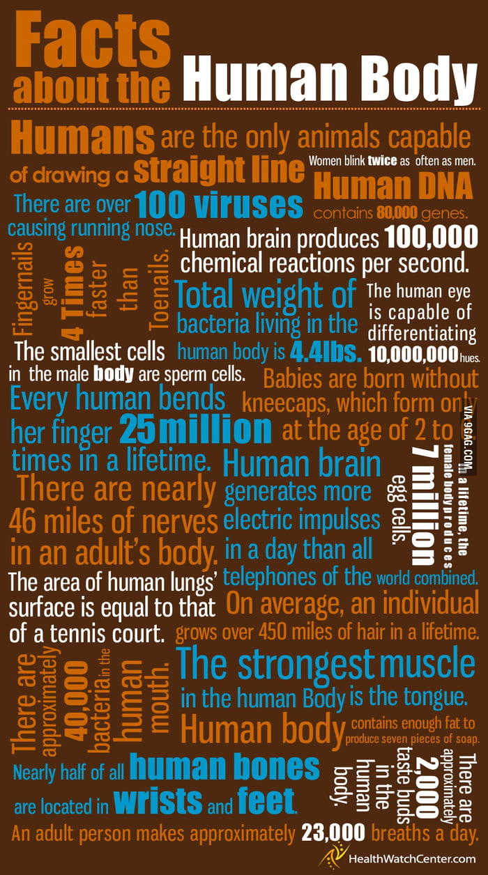 Interesting Facts About The Human Body 9GAG