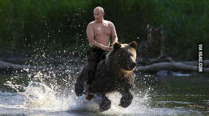 Vladimir Putin's personal bear