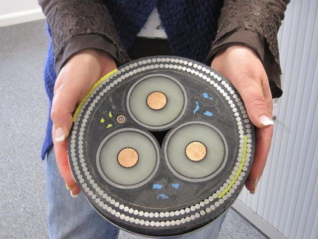 Cross-section of an undersea cable