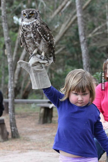 owl get you