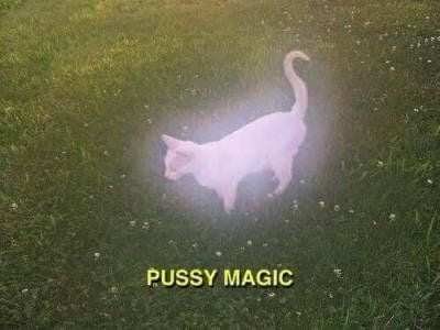 Pussy Magic Gag