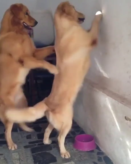 Step aside...I'll handle this