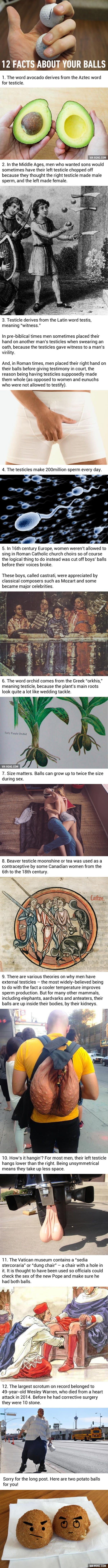 12 Surprising Facts You Didn’t Know About Your Balls