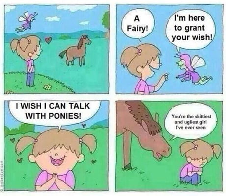 talk to ponies