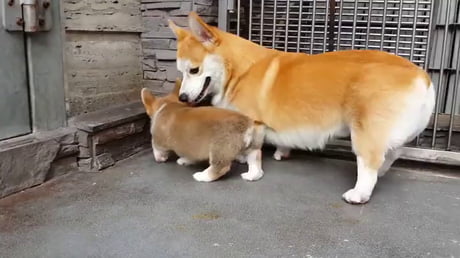 "I'll teach you how to sit"