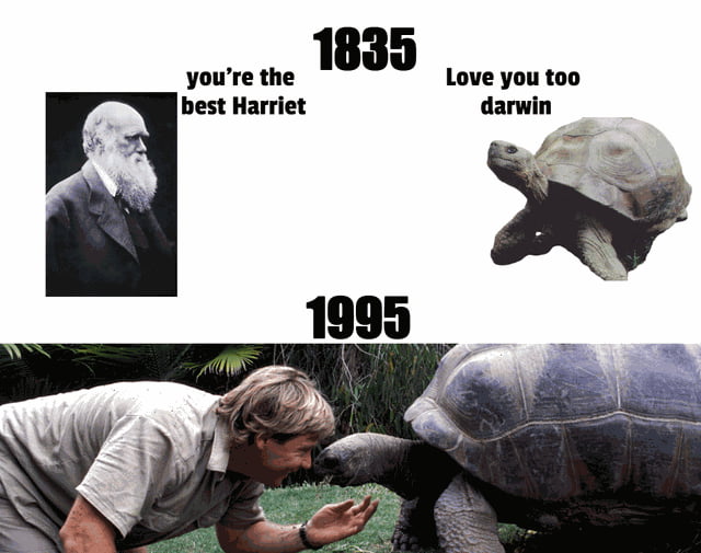 Charles Darwin And Steve Irwin Both Owned The Same Turtoise 9GAG