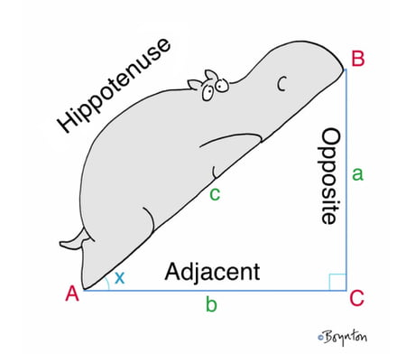 "Hippotenuse"