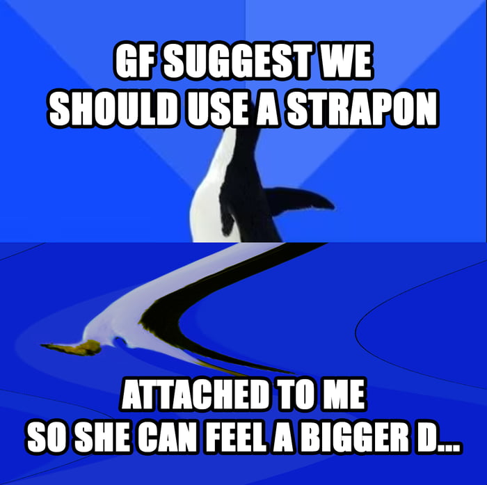 When The Blue Socially Awkward Penguin Gets Even Bluer Gag