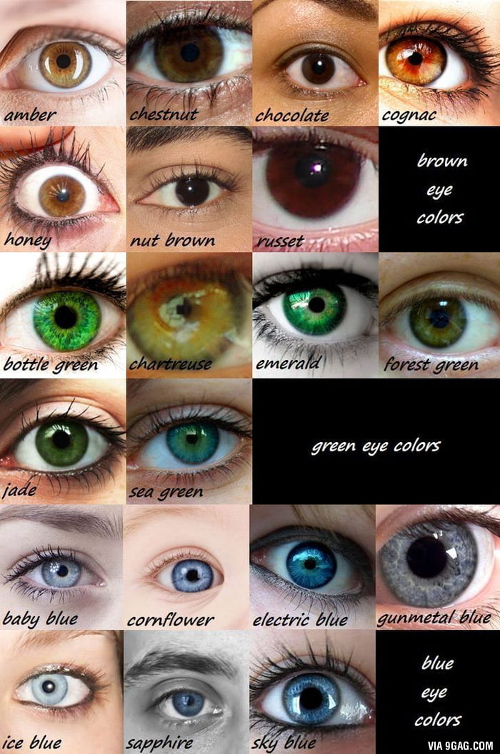 Tipos De Color De Ojos causa Utilidad Taringa 