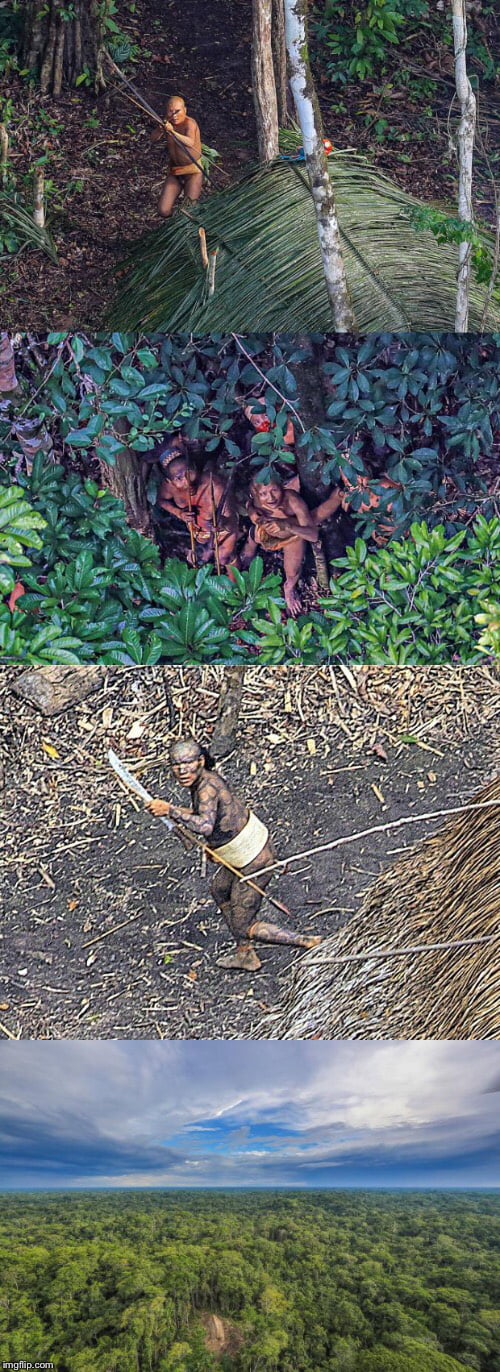 Photographer captures images of uncontacted tribe in Brazil, the tribesmen fired arrows at the helicopter