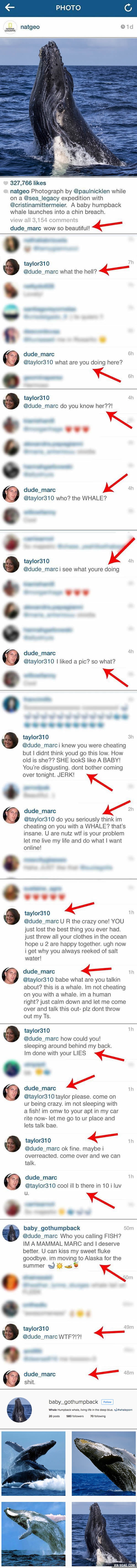 "You're cheating on me with a whale?!" Girl exposes her boyfriend's sidechick on Instagram