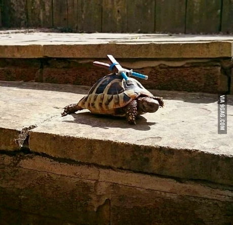 I heard people here love good cosplay?
