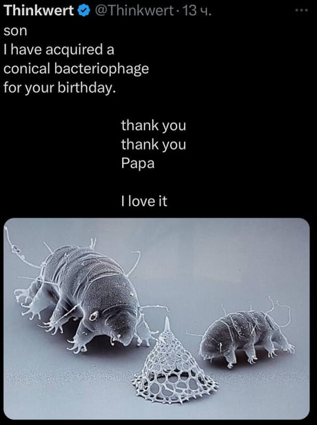 Best Funny Water Bear Memes 9GAG