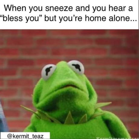 Best Funny Bless You Memes Gag