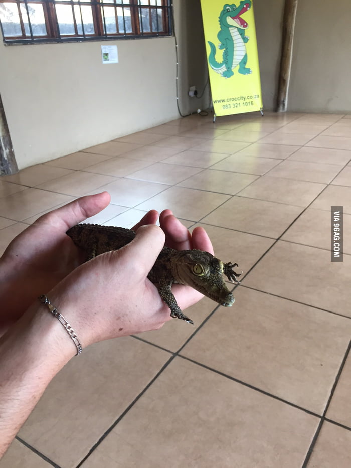 Baby crock from South Africa
