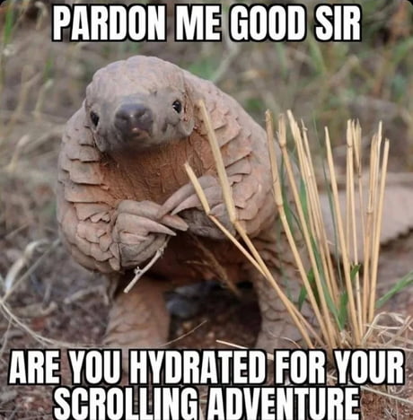 Best Funny Hydration Memes 9GAG