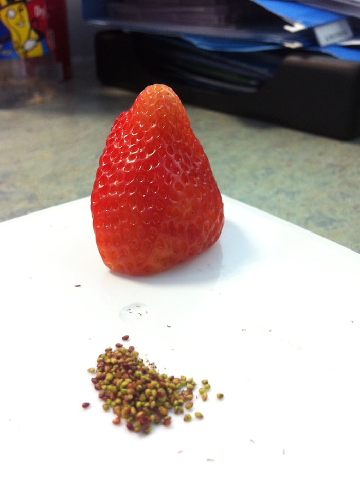 Every seed removed from a single strawberry