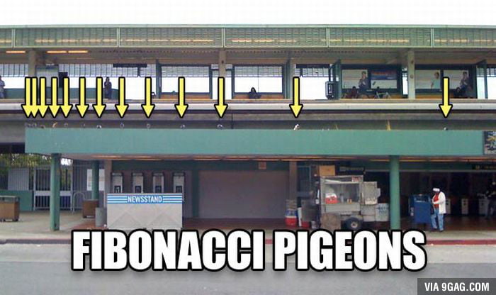 Pidgonacci sequence.