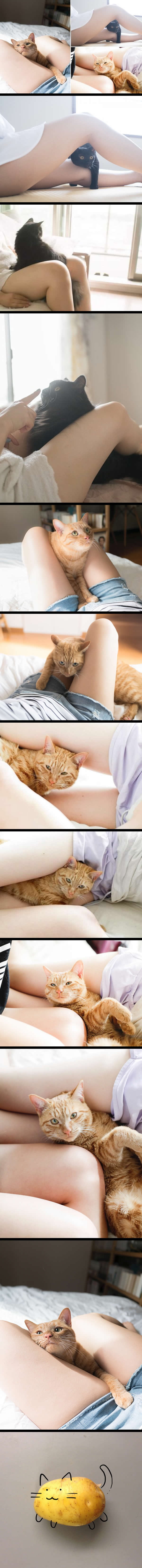 Japanese Photographer Combining “Thigh & Cat” arousing everyone's inner fetish