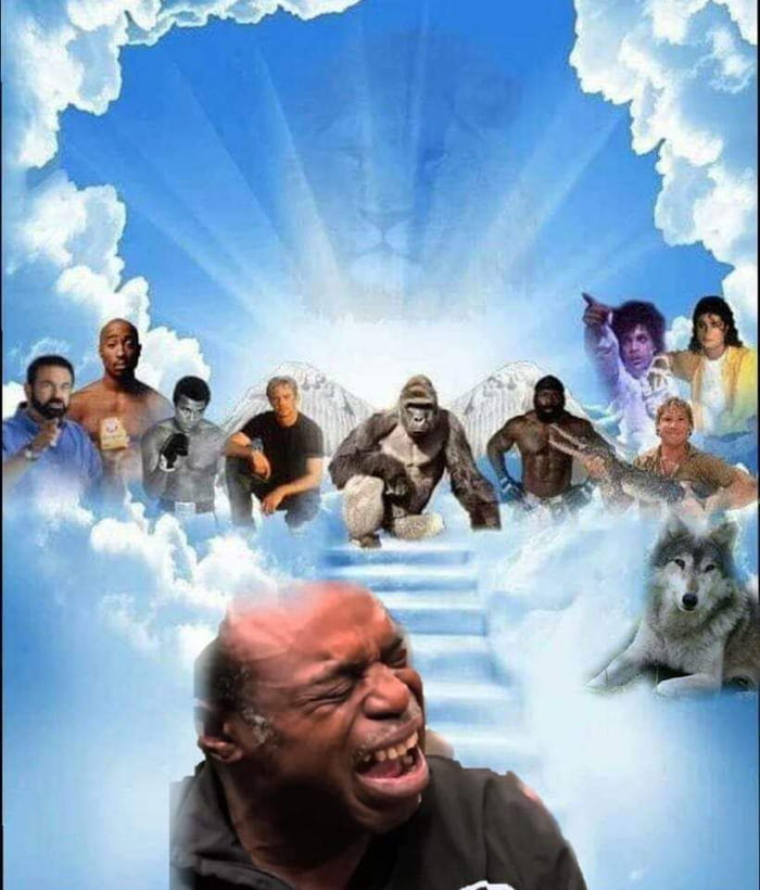 Another Legend S Gone 9GAG