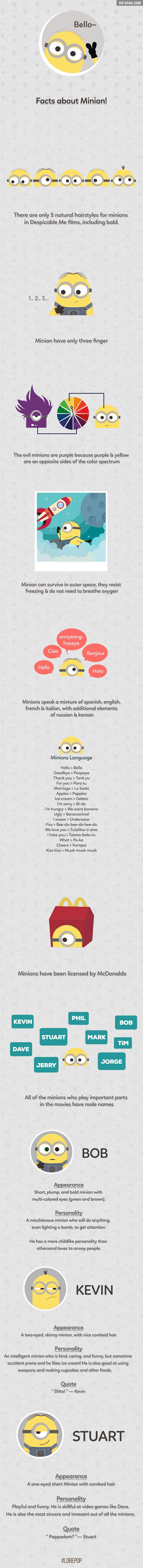 Fun Facts About Minions That You Might Not Know