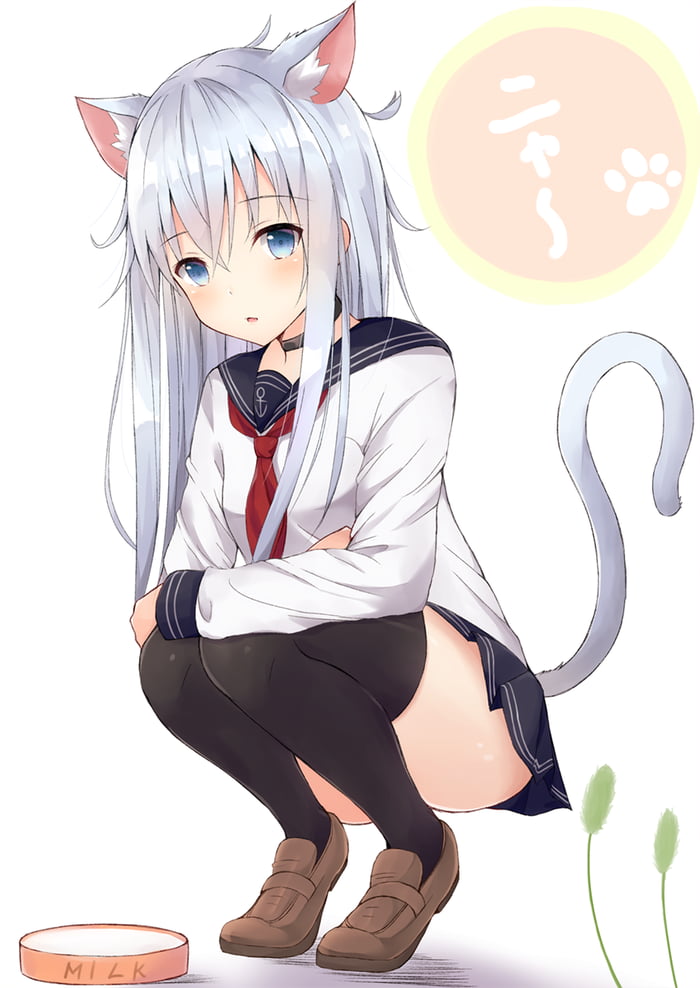 Neko Hibiki 9GAG