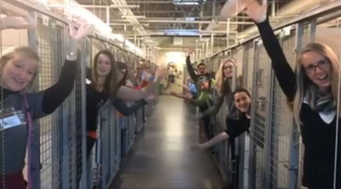 This Animal Shelter Is Celebrating The Fact That Their Kennels Are Empty. Faith in humanity restored
