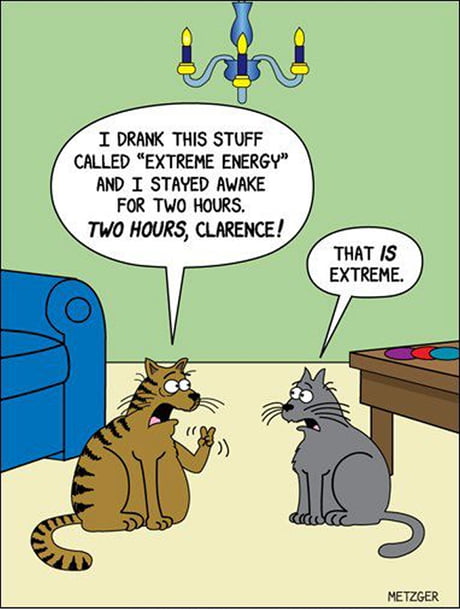 cat energy
