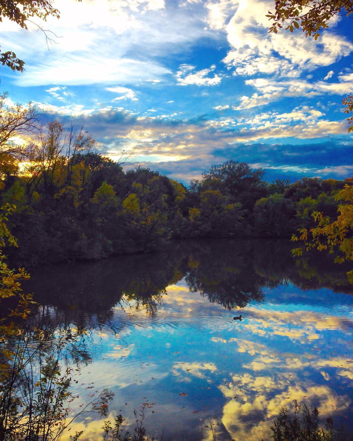 Its Beginning To Look Like Autumn In The Northern Midwest Gag