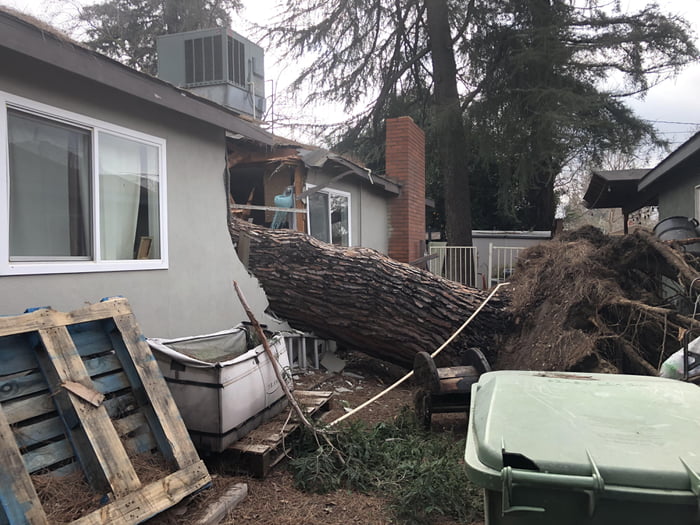 Tree Fell On House During Recent Storms In California 9GAG