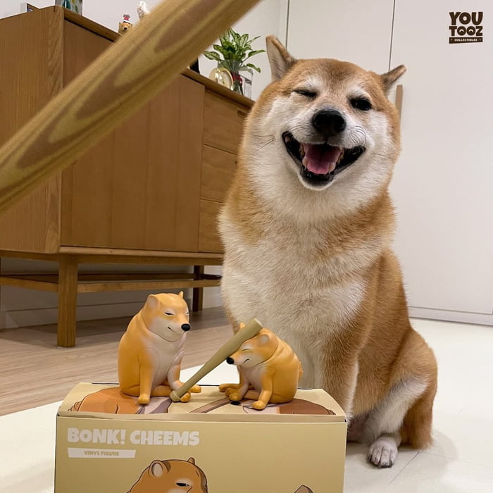 This Bonk Cheems Figure Is The Pawfect Present For Your Horny