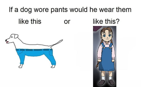 azjEwMp_460s_v2.jpg
