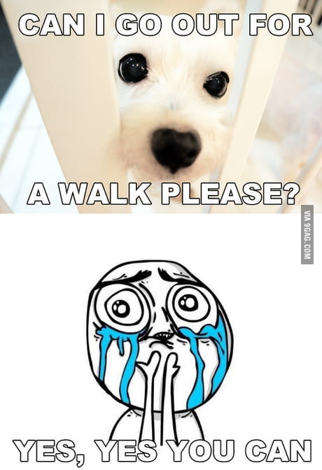 Over Load Meme Memes Overload 9gag Meme Overload | New York NY