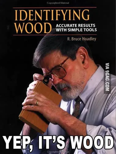 https://img-9gag-fun.9cache.com/photo/1767436_700bwp.webp