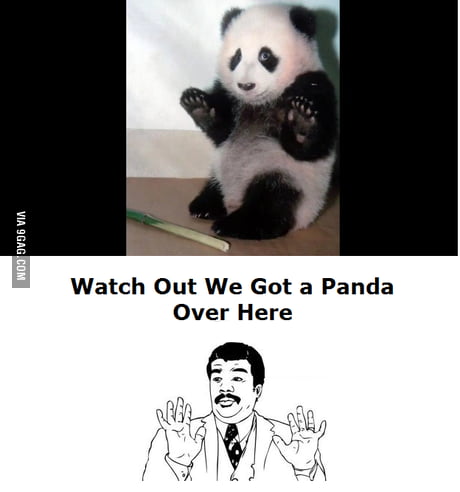 Watch Out Panda Meme 9gag