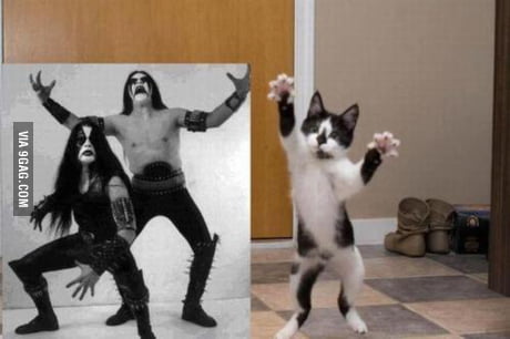 Black Metal Kitty 9gag