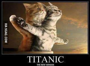 Titanic Cat version - 9GAG
