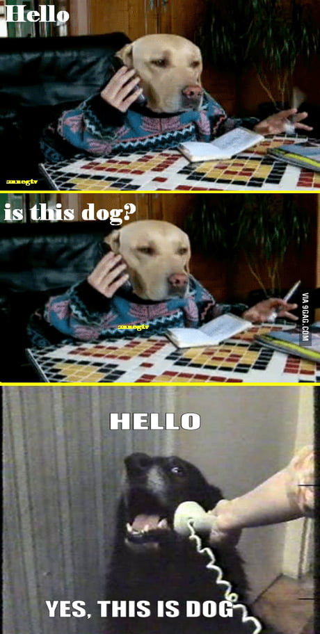 Hello This Is Dog Meme
