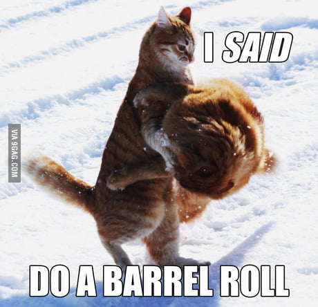 Do a barrel roll - 9GAG