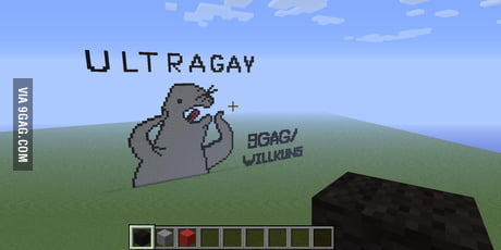 Minecraft Gay Seal 9gag