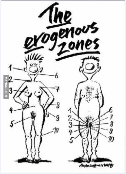 Female Errogenous Zones
