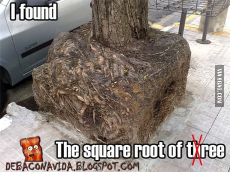 Tree Root Memes Funny Meme [Root Canal] | Root Canal, Funny Memes