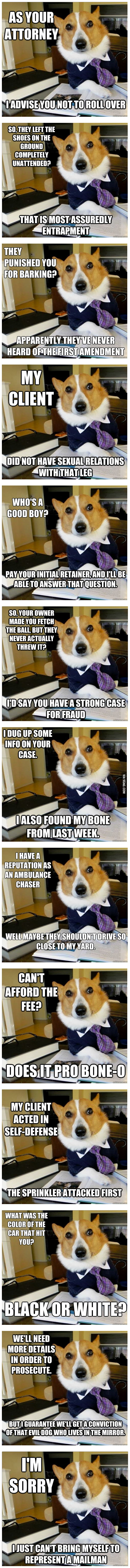 The Best Of The Lawyer Dog Meme