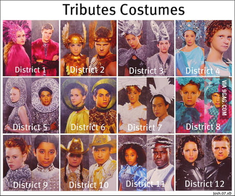 hunger games district 11 costume