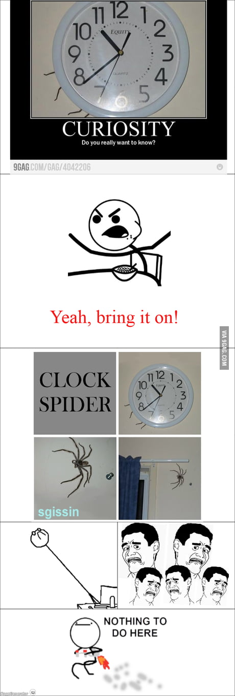 clock spider Meme, Meaning & History