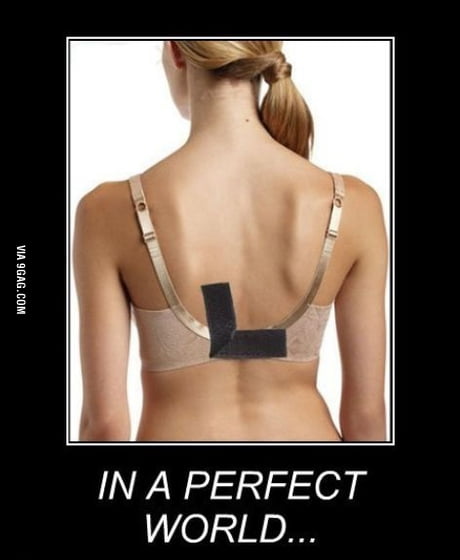 In a perfect world - 9GAG