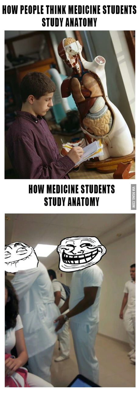 Open exams are a trap - 9GAG