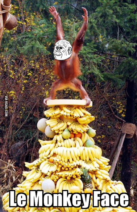 Le Monkey Face - 9GAG