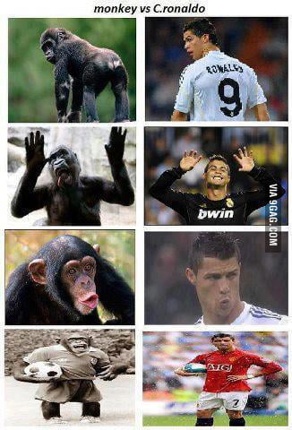 ronaldo chilling filmin' the monkey #fyp #fypシ #foryou #memes