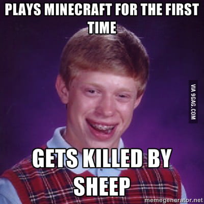 Bad Luck Brian At Minecraft 9gag